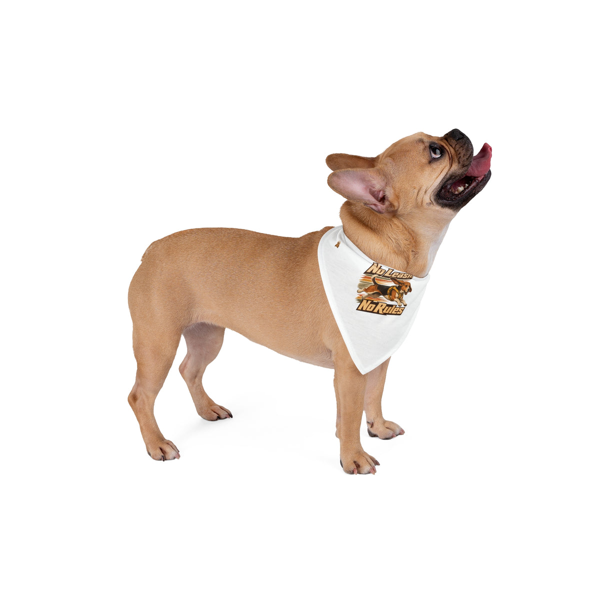 "No Leash, No Rules" — The Escape Club | Pet Bandana