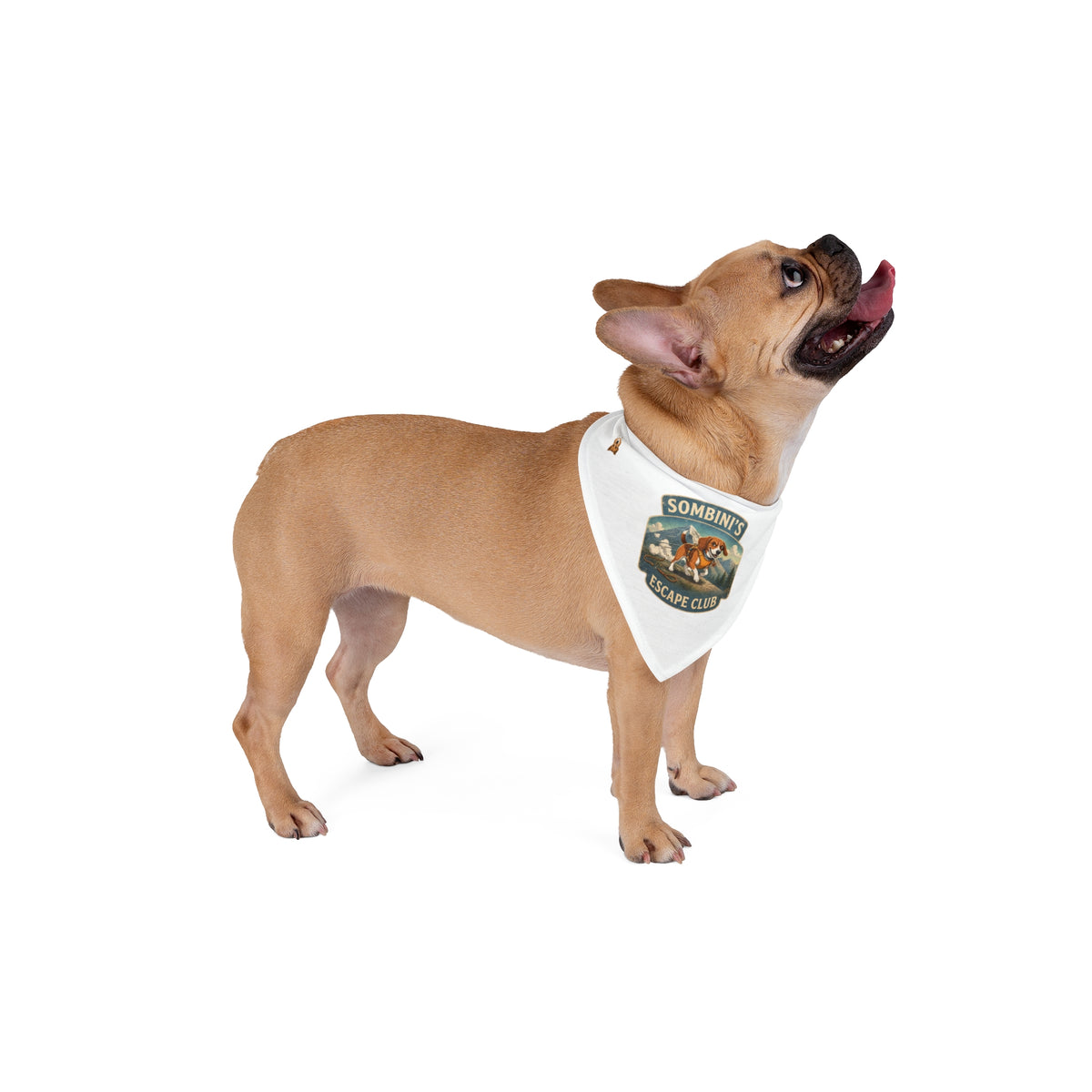 "Sombini's Escape Club" — Retro Adventure | Pet Bandana
